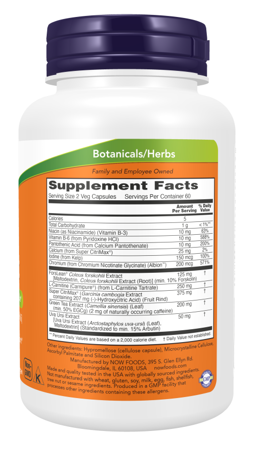Diet Support — 120 cápsulas vegetales