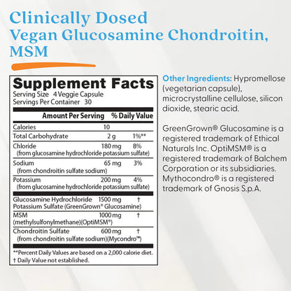 Vegan Glucosamine & Chondroitin & MSM - 120 vcaps