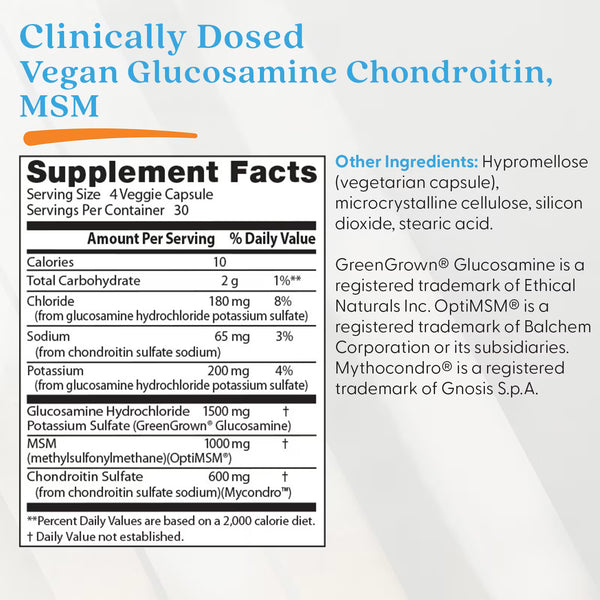 Vegan Glucosamine & Chondroitin & MSM - 120 vcaps