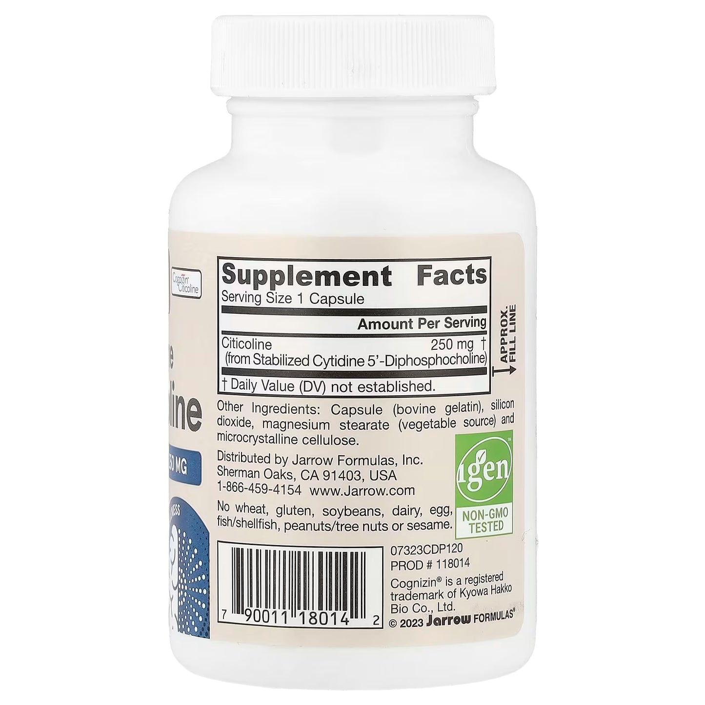 Citicoline CDP Choline, 250mg - 60 caps