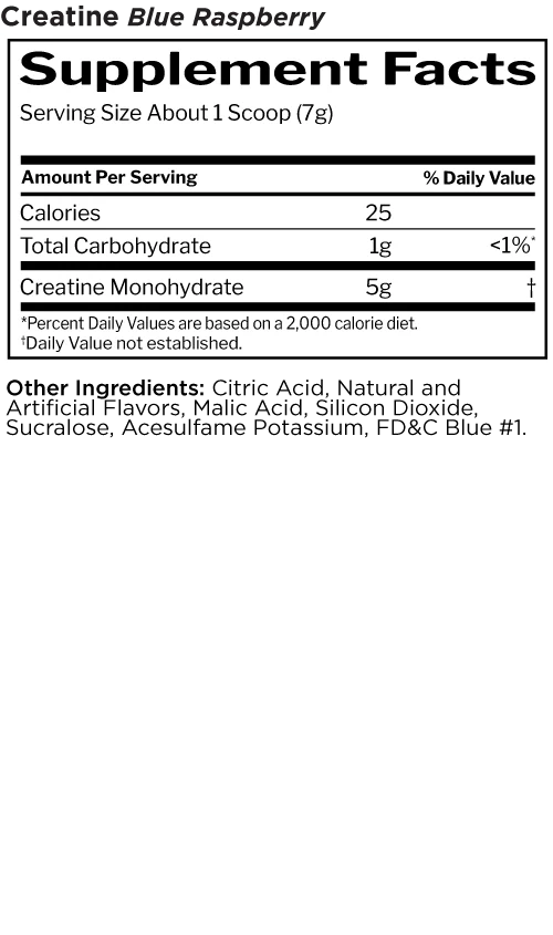 Creatine Monohydrate - 240 caps