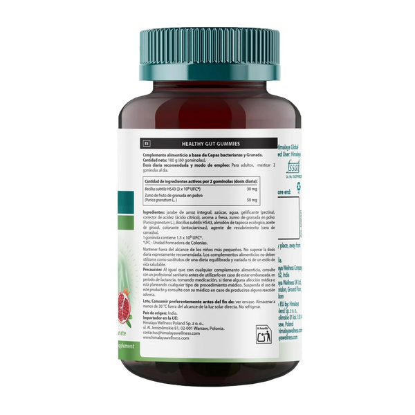 Healthy Gut Gummies · Fresa natural — 60 gominolas
