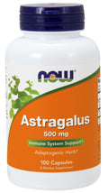 Astragalus, 500mg — 100 cápsulas