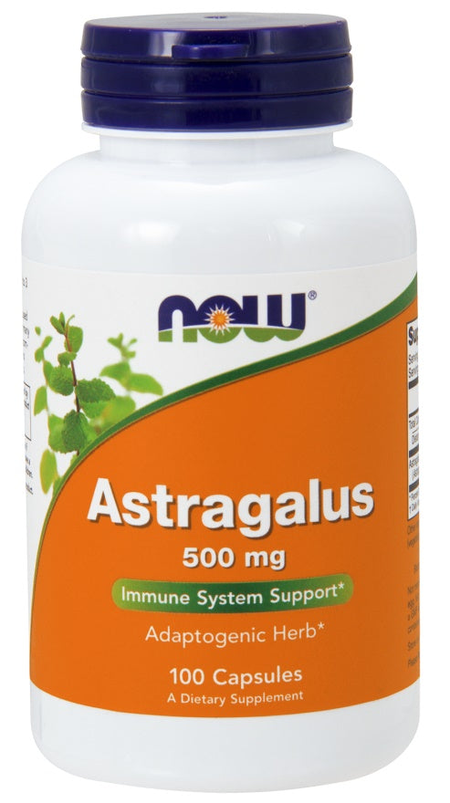 Astragalus, 500mg — 100 cápsulas